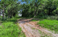 549 Birkhead Road, Winfield, MO 63389