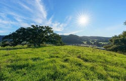 518 Bella Terra Court, San Luis Obispo, CA 93401