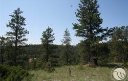 Lot 82 Cougar Trail, Reed Point, MT 59069