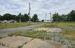 Brittney Cir, Wynne, AR 72396