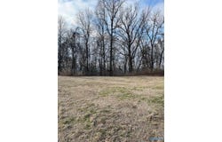151 Ledge View Drive, Huntsville, AL 35802