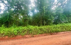 101 Tyson Lane, Greenville, AL 36037