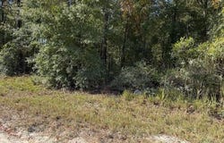 108TH Avenue NE, BRONSON, FL 32621