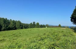 000 Potts Road, Mount Airy, NC 27030