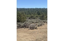 Heron P1 49a Private Road, Tierra Amarilla, NM 87575