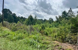 Cole Drive SE, Ruth, MS 39662