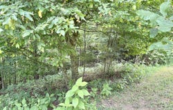 Lot 30 Rock Island, Butler, TN 37640