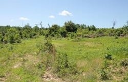 39250-9260  Hwy 27, Witts Springs, AR 72686