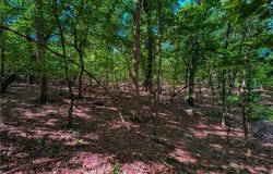 784 Palisade Trail, Denton, NC 27239