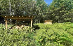 624 N Winters, Trenary, MI 49891