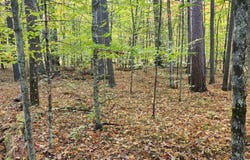 0 Signor Lane, Jay, NY 12941
