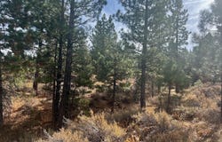 1121 Great Spirit lot: 386, Portola, CA 96122