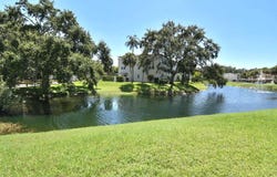 946 VIRGINIA STREET, DUNEDIN, FL 34698
