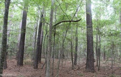 NE Hopewell Road, Brookhaven, MS 39601