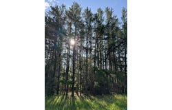 XX Waldo Rd, Two Harbors, MN 55616