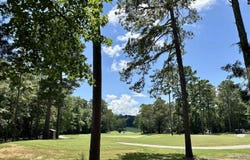 546 Misty Banks Drive, Chapin, SC 29036