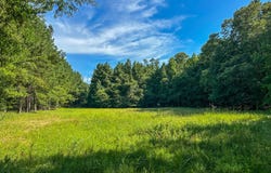 0 Fikes Ferry Road, Marion, AL 36756
