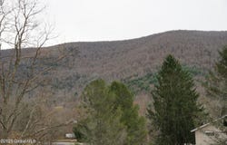 148 Acres Mount Eden Estates Road, Lexington, NY 12452