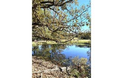 4107 CR 3800, Athens, TX 75752