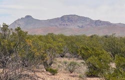 N Valladolid Drive lot: 3969, Douglas, AZ 85607