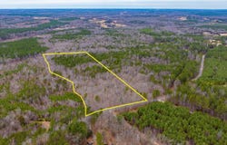 LOT 3 PINEY GREEN RD, CREWE, VA 23930