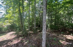 Lot 56 Nathaniels Way, Blairsville, GA 30512