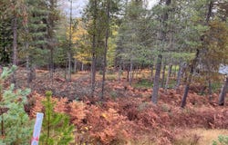 104 Blazing Saddle, Pinehurst, ID 83850
