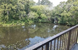 228 CANAL PARK DRIVE, SALISBURY, MD 21804