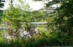 Lakeview Drive lot: 8, Red Springs, NC 28377