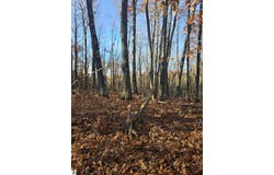 Lucerne Drive lot: #263, Reed City, MI 49677