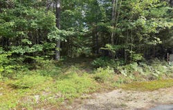 Map 218 Lot 67 Alden Washburn Drive, Tamworth, NH 03886