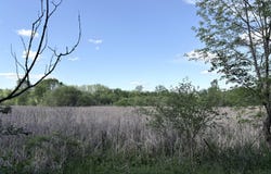 18 E Riverside Drive, Ionia, MI 48846