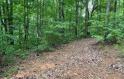 198 Log Round Mountain Trail, Ellijay, GA 30540