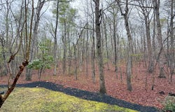 87 RETRIEVER RIDGE DR, GORDONSVILLE, VA 22942