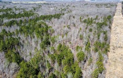 CR 200, Pittsboro, MS 38951