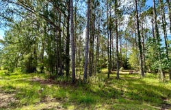 Live Oak, FL 32060
