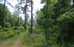 W Washington, Monticello, FL 32344