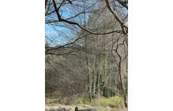 98 Pine Shadows Drive, Dallas, GA 30157