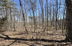 Honey Springs Rd, Crawford, TN 38554