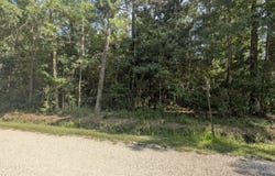 W. Newton Street, Bay Saint Louis, MS 39520