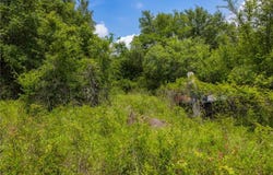 0000 Pickens Rd, Washington, TX 77880