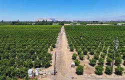 21868 E Manning Avenue, Reedley, CA 93654