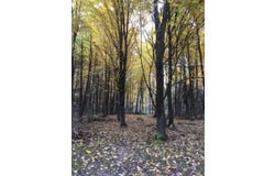 8029 US Highway 11, Potsdam, NY 13676