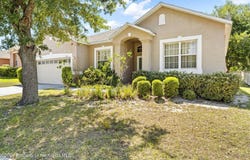 4211 Blakemore Place, Spring Hill, FL 34609
