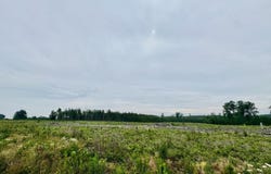 Ebb Mack Road, Saluda, SC 29138-0000