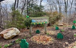 TBD BEN LYONS LN, Lyndhurst, VA 22952