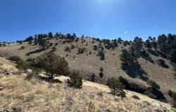 1231 & 124 Keepsake Loop, Westcliffe, CO 81252