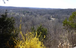 7 Cochise Circle, Cherokee Village, AR 72529