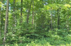 On POTAWATOMI TR, WI 54520