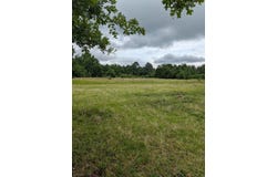CR 3448, Hawkins, TX 75765